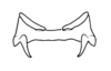Maculiparia annulicornis (Stål, 1873): Fig. 63F. epiphallus, dorsal view. (Otu).