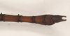 CollectionObject 1557738; NHMUK(SF IMPORT DUPLICATE) 844588, 3001684b-8f31-44c7-97e9-d3433e8d3ae7: copyright Natural History Museum, London. male: end of abdomen, dorsal view (holotype). (CollectionObject).