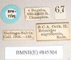 CollectionObject 1557515; 9dad141f-cbd9-4264-bbec-c99cd2c03221: copyright Natural History Museum, London. female, data labels (syntype). (CollectionObject).