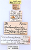 CollectionObject 1863267; 1b178631-e493-40dc-8fc5-c6f5f48f775d: (CollectionObject).
