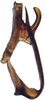 Aedeagus, lateral view: Gannia viraktamathi, aedeagus, laterally (INHS). (Observation).
