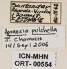 CollectionObject 1544463; 62d01db0-c482-4d6c-a4fc-d35b9f824f05: labels. (CollectionObject).