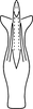 Aedeagus, ventral view: Aedeagus, ventral view. (Observation).