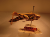 CollectionObject 1530190; 0f672c92-1c9e-46ab-bf85-8df4ac61563c: lateral view, female (holotype). (CollectionObject).