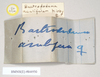 CollectionObject 1557433; NHMUK(SF IMPORT DUPLICATE) 844930, ae911a28-f49d-4ed8-bcfe-603443d84339: copyright Natural History Museum, London. female, data labels of synonym Bactrododema aculiferum (syntype). (CollectionObject).