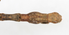 CollectionObject 1561484; 9996d593-163b-4fa3-bf89-4646e1084155: copyright MHNG Geneva. male: end of abdomen, lateral view (holotype). (CollectionObject).