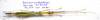CollectionObject 1584602; a599e076-8f88-4cff-bde3-722cd6a7c50b: (CollectionObject).