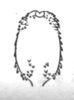 Aedeagus, dorsal view: !! display not done !! on Cyphonia clavata (Fabricius, 1787): (Observation).