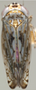 Habitus, dorsal view on Discolopeus triacaenus Stiller, 2019: Habitus, female, dorsal view (Nietgenaamd). (Observation).