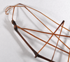 CollectionObject 1558076; d22f82d3-4d2f-47f8-8389-af10b2f28fca: copyright ZMHB, Berlin. male: head & thorax, lateral view (holotype). (CollectionObject).