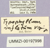 labels. Depicts CollectionObject 1499708; a9f2f503-ae6a-4a7d-bebd-765725292621, a CollectionObject.
