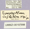 CollectionObject 1499708; a9f2f503-ae6a-4a7d-bebd-765725292621: labels. (CollectionObject).