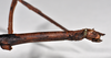 CollectionObject 1558559; d175cf57-13bf-4202-bdc4-79a45254a6cc: copyright NTUC. female: head and thorax, lateral view (syntype). (CollectionObject).;CollectionObject 1558560; 79f3f8cc-d56f-40aa-b01f-edb53ef13999: copyright NTUC. female: head and thorax, lateral view (syntype). (CollectionObject).