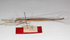 CollectionObject 1561996; 5dc5585a-aabc-40f4-aeb2-c11d030b0fe7: copyright ZMHB, Berlin. male, lateral view (syntype). (CollectionObject).;CollectionObject 1561997; 46748e3b-a7d3-4693-bbcc-b6709fd08cac: copyright ZMHB, Berlin. male, lateral view (syntype). (CollectionObject).