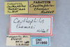 CollectionObject 2741441; e5df46dd-ad44-4d89-9614-ccad595f5722, CNCI 311950: (CollectionObject).
