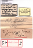 CollectionObject 1530734; 873e67ac-a02e-45de-959a-2c294bbd6e20: labels (syntype of Bryodema luctuosum lugens). (CollectionObject).