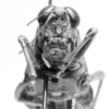 CollectionObject 1525555; a19b0cb4-74f9-496c-a39c-3c395d30074a: female, frontal view (lectoallotype). (CollectionObject).