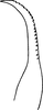 Stylus: Stylus. (Observation).