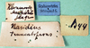 CollectionObject 1594840; 4b7af46d-d58c-4bd4-9c25-a3853a811f65: labels. (CollectionObject).