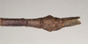 CollectionObject 1559490; dea99648-272c-4cb4-ad25-8011f635fffe: copyright Natural History Museum, London. male of synonym Lonchodes megabeast: end of abdomen, dorsal view (paratype). (CollectionObject).;CollectionObject 1559491; 4fdcf7e7-ecb2-4223-a4b5-815c99f9356c: copyright Natural History Museum, London. male of synonym Lonchodes megabeast: end of abdomen, dorsal view (paratype). (CollectionObject).;CollectionObject 1559492; fc7b68d4-ed99-4214-bd2d-ce4ab7982dba: copyright Natural History Museum, London. male of synonym Lonchodes megabeast: end of abdomen, dorsal view (paratype). (CollectionObject).