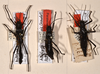 CollectionObject 1559944; 29388811-ae3e-4928-875d-63bb55b7a5ee: copyright OUMNH. synonym Bacteria bogotensis (paralectotypes). (CollectionObject).;CollectionObject 1559945; a00a39a0-cb2f-436a-b56c-b7e98a22e487: copyright OUMNH. synonym Bacteria bogotensis (paralectotypes). (CollectionObject).;CollectionObject 1559946; e50dc672-7404-4b79-96b8-f57871c7a498: copyright OUMNH. synonym Bacteria bogotensis (paralectotypes). (CollectionObject).