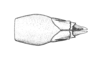 Orotettix andeanus (Bruner, 1913): Fig. 30. female abdomen tip, ventral view. (Otu).