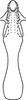 Aedeagus, ventral view: Aedeagus (paratype of E. micheneri Hepner), ventral view. (Observation).