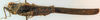 CollectionObject 1585626; c228f011-b8ec-4c8f-86c6-f09630b169c4: male, lateral view (lectotype). (CollectionObject).