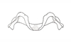 Dichroplus patruelis (Stål, 1861): Fig. 34. epiphallus, caudal view. (Otu).