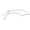 Anal tube processes: Anal tube process. (Observation).