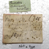 CollectionObject 1506536; 259eb6cd-693b-4d98-92c8-75cbb1b41f36: labels. (CollectionObject).