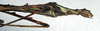 Cirsia finoti Redtenbacher, 1906: copyright NMW. female: end of abdomen (paralectotype). (Otu).