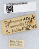 CollectionObject 1579430; d45b2a2c-4bc5-480b-8e02-44e13372b765: labels. (CollectionObject).