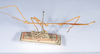CollectionObject 1561488; 70527c73-d9a3-417f-b716-91f9b9bebfb7: copyright ANSP. male, lateral view (syntype). (CollectionObject).;CollectionObject 1561489; ac8c8295-6c8b-4679-b7d5-9f389bd2723c: copyright ANSP. male, lateral view (syntype). (CollectionObject).