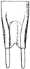 Meroncidius obscurus Serville, 1831: male subgenital plate. (Otu).