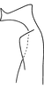 Stylus on Erythridula parvispicata (Beamer, 1930): Stylus (holotype). (Observation).