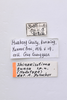 CollectionObject 1475679; ef147de6-945b-48e7-8582-95547db27a17: label,holotype. (CollectionObject).