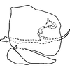 Pygofer, lateral view: !! display not done !! on Texananus (Texananus) mexicanus (Ball, 1918): Pygofer, lateral view. (Observation).