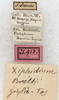 CollectionObject 1576646; NMW 21913, b83b098c-eda0-4bfb-a5ea-e0451161795d: labels. (CollectionObject).
