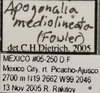 Other: !! display not done !! on Apogonalia mediolineata (Fowler, 1899): Labels. (Observation).
