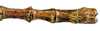 CollectionObject 1578597; 219e7698-1af5-4718-9672-3c56d415ae77: copyright ISNB, Brussels. male: end of abdomen, dorsal view (holotype). (CollectionObject).