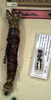 CollectionObject 1560886; NMW 260, b1c6bd28-c91a-4501-bb14-2ccc9034dc71: copyright NMW, Vienna. female (holotype). (CollectionObject).