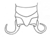 Ceuthophilus (Ceuthophilus) wasatchensis Hubbell, 1936: Fig. 584. male abdomen tip. (Otu).