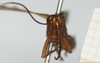 CollectionObject 1581308; 3ff11409-113d-4da5-98b0-d375de08ac4c, NHMUK10924573: male, frontal view (paratype). (CollectionObject).