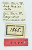 CollectionObject 1531880; 4f4c2297-5f8c-45d6-97b7-8d1b4a02e1c5: labels (holotype). (CollectionObject).