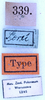 CollectionObject 1534498; 59734325-e8ef-4de4-8b8d-22b1f64be4ac: labels (holotype). (CollectionObject).