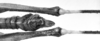 CollectionObject 1501160; 014955bc-6c94-4eeb-8b02-ebaf5b188781: Image Carbonell, C.S. female abdomen tip, dorsal view (syntype). (CollectionObject).