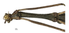 CollectionObject 1596259; c080a2c0-23b7-4f23-8529-3a7507e2a5fb: copyright NKUM Nankai. male: head & thorax, ventral view (paratype). (CollectionObject).