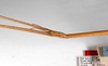 CollectionObject 1557903; 99d472d1-49e0-443d-be3c-20506068562a: copyright ZMHB, Berlin. female: head & thorax, lateral view (syntype). (CollectionObject).