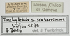 CollectionObject 1577245; df8a4754-5c5a-4146-b5f9-aa9530f371b7: female, labels, no type. (CollectionObject).